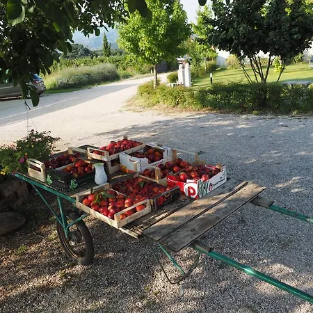 Fior Di Maggio Farm stay