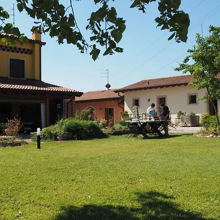 Fior Di Maggio *