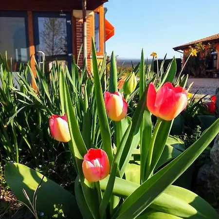 Farm stay Fior Di Maggio Pescantina