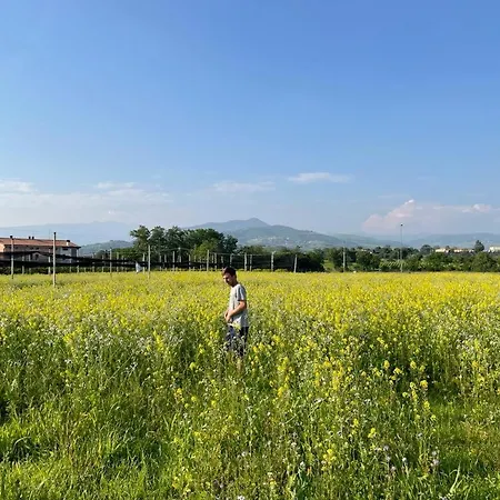 ファームステイ Fior Di Maggio ペスカンティーナ