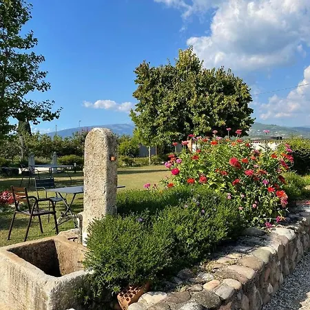 Fior Di Maggio *