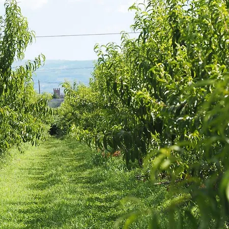 Fior Di Maggio Farm stay