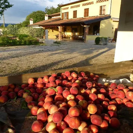 Fior Di Maggio