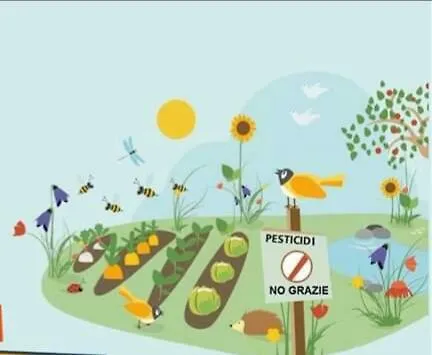 Fior Di Maggio * Pescantina